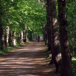 Europaradweg R1 bei Hohenerxleben