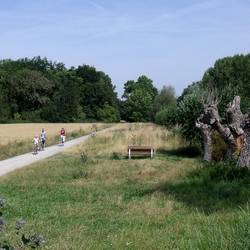 Boderadweg bei Rothenförde