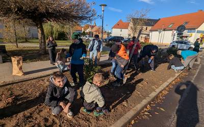 pflanzaktion gs l derburg 1