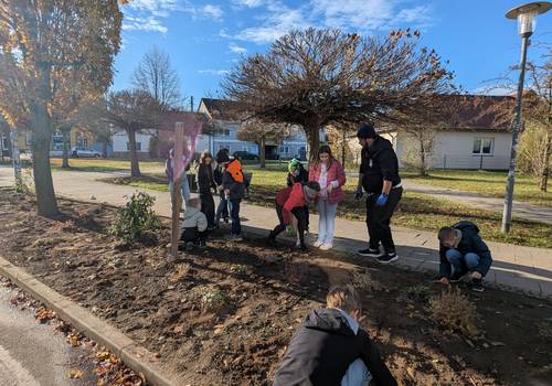 Pflanzaktion GS Löderburg (2) Pflanzaktion GS Löderburg (2)