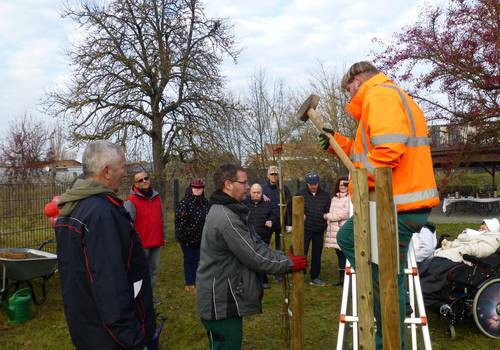 INS Aktionstag Baum der Inklusion (2) INS Aktionstag Baum der Inklusion (2)