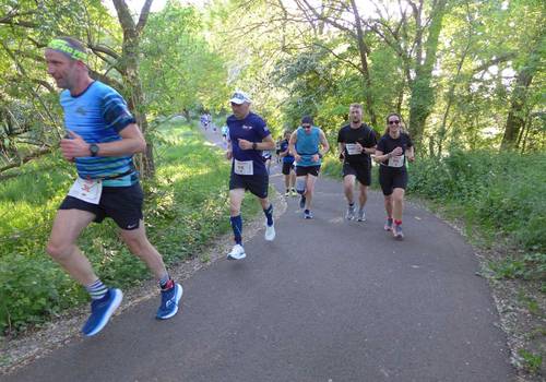 Salzland Lauf 2025 copyright Jens Uwe Börner (1) &copy; Jens-Uwe Börner