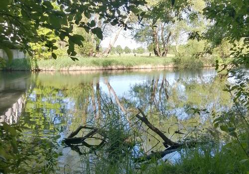 ufer © Annemarie Schuster