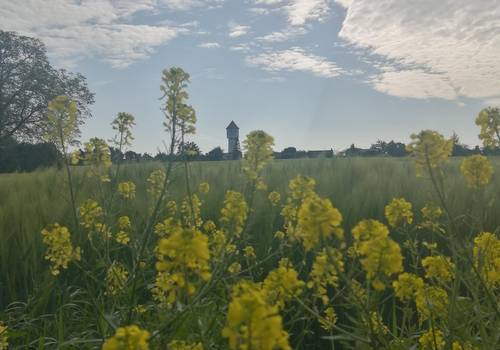 wasserturm © Annemarie Schuster