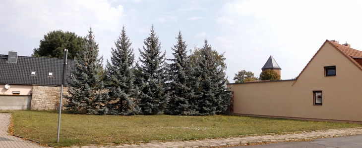 Baugrundstück, Blick von der Alten Güstener Straße/Ecke Leopoldstraße Baugrundstück, Blick von der Alten Güstener Straße/Ecke Leopoldstraße