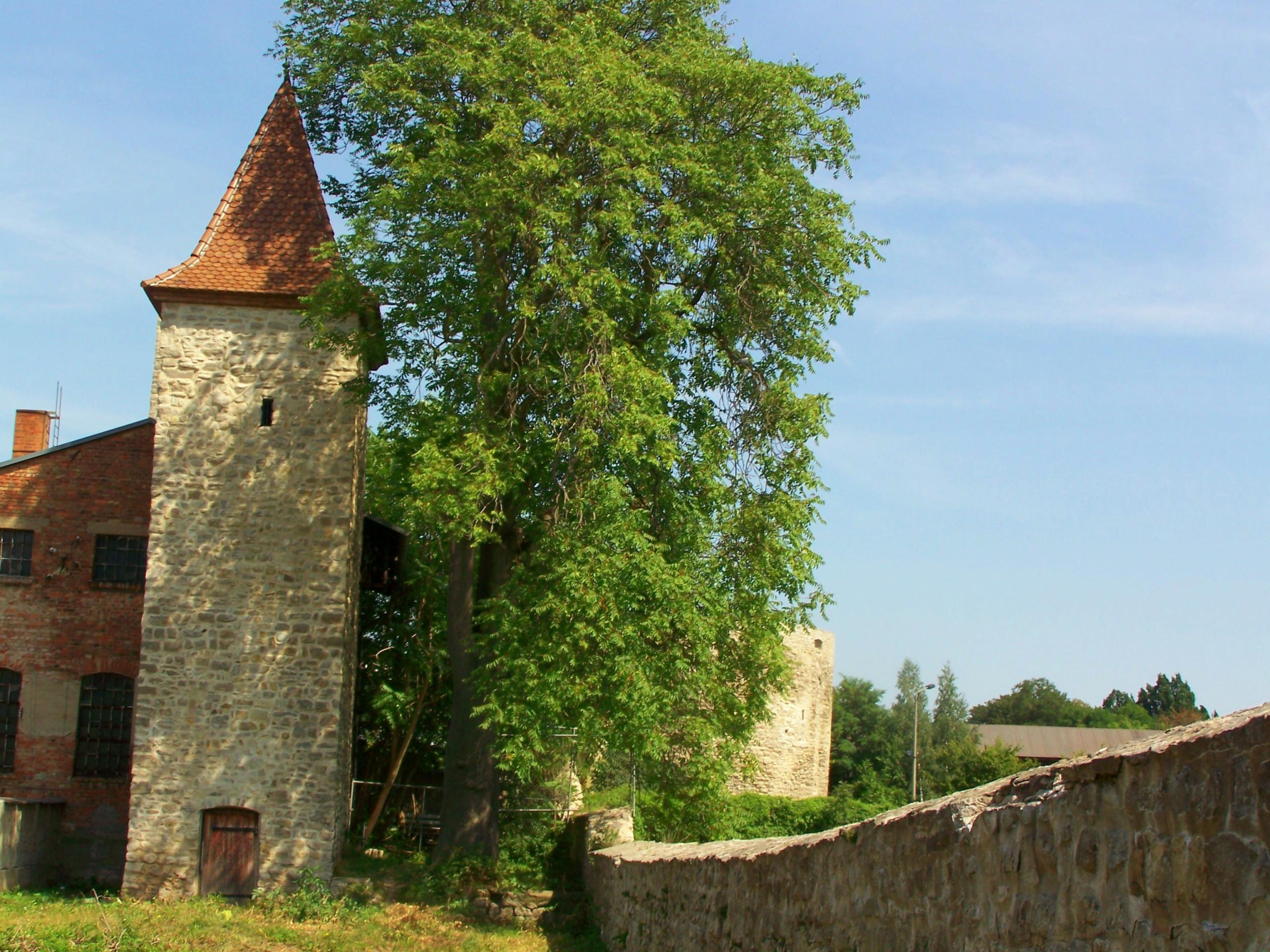 Rondell ©Kurt Peinert k.peinert1