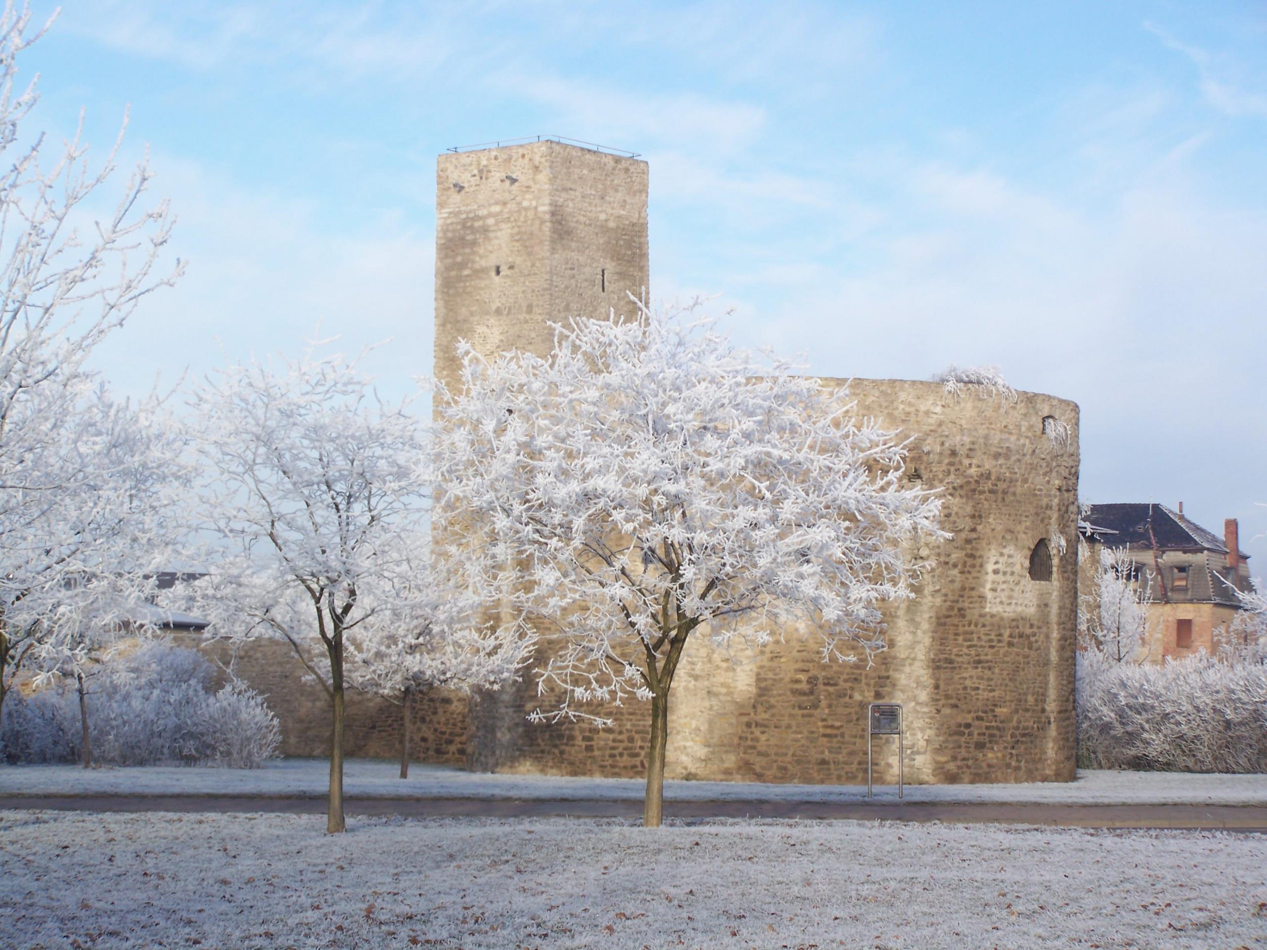 Winterimpression ©Kurt Peinert k.peinert4