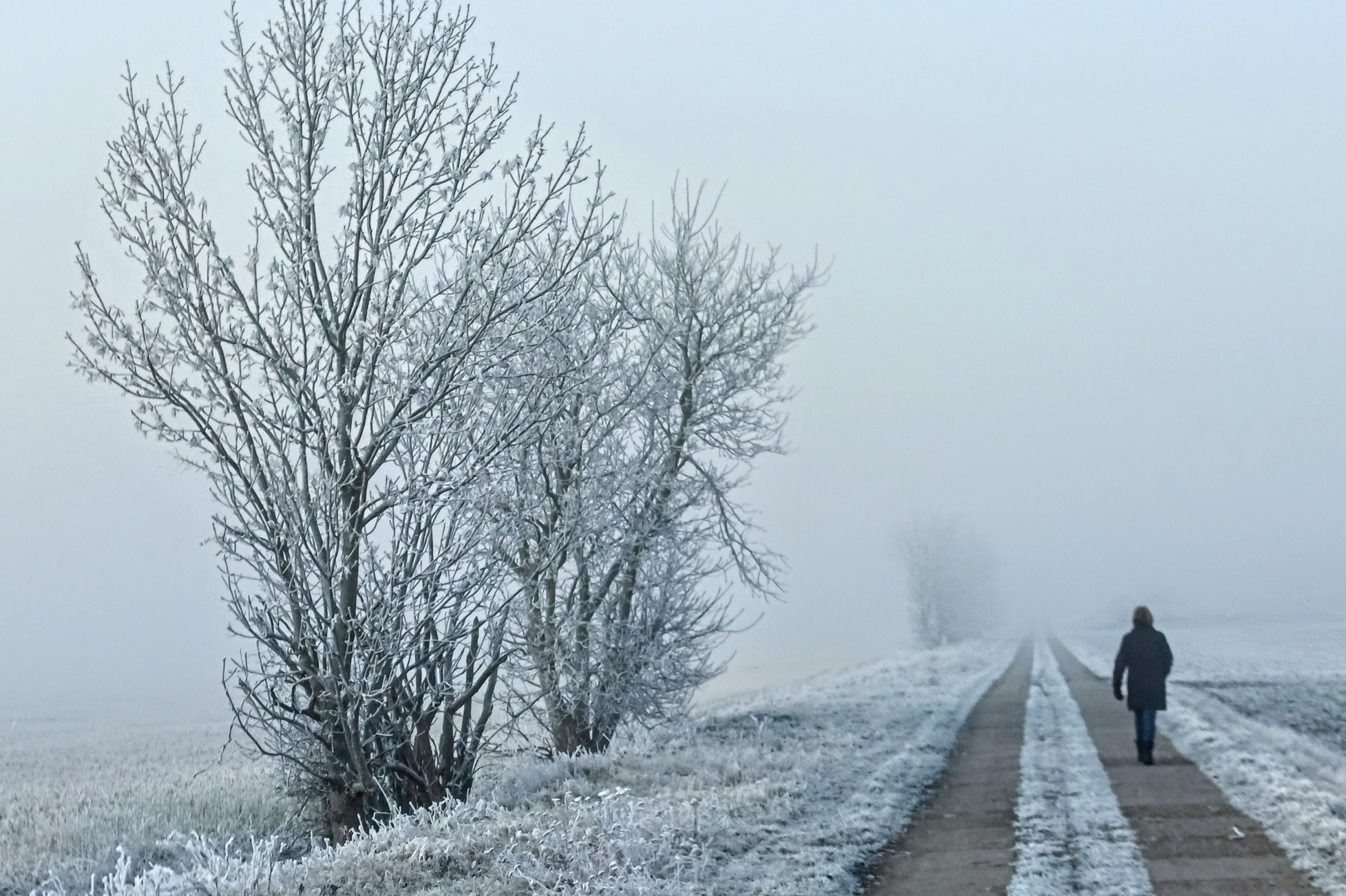 förderstedt feldweg nach atzendorf ©Margitta und Heinz-Peter Hadel f rderstedt feldweg nach atzendorf