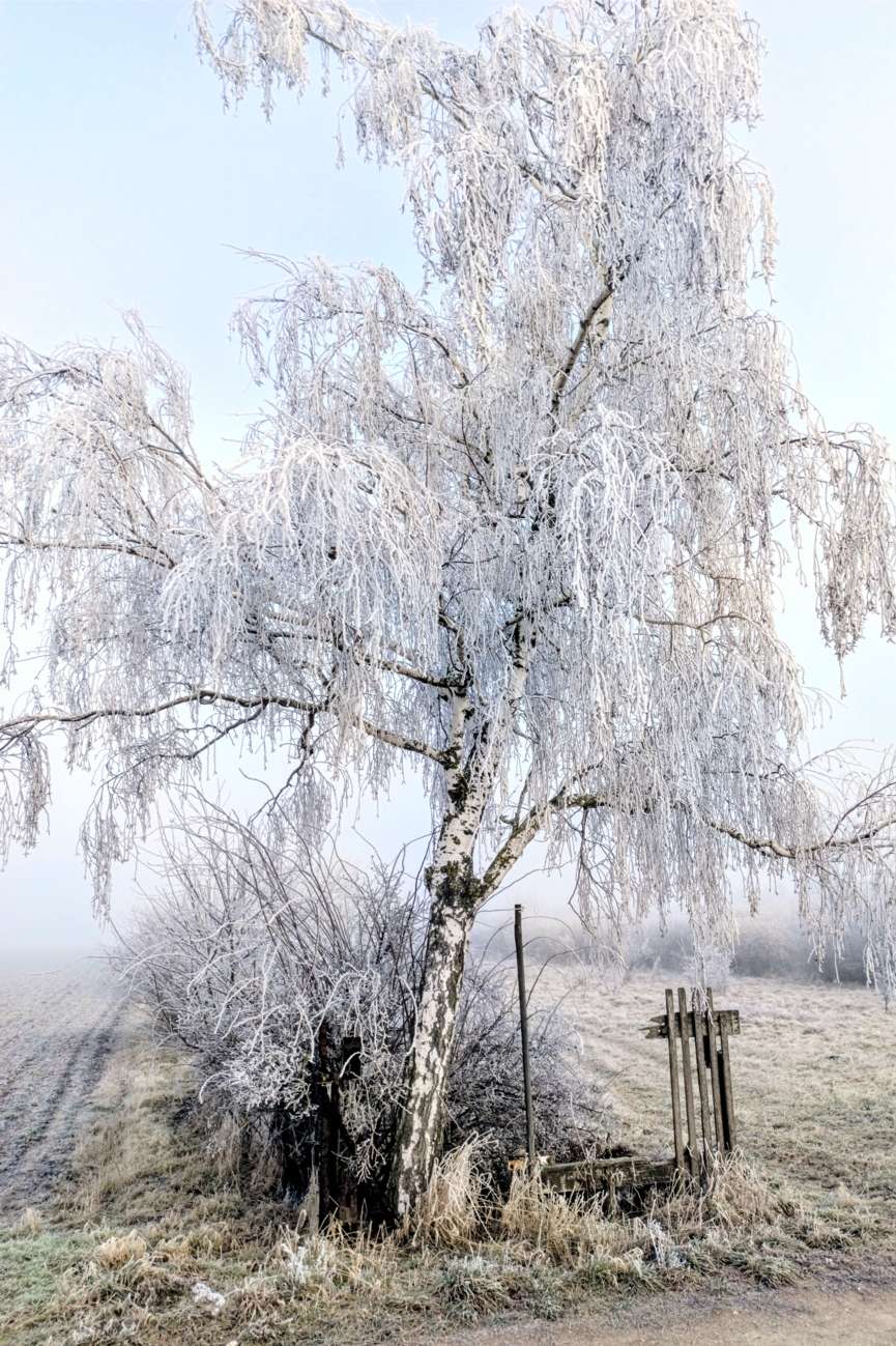 gartenanlage förderstedt ©Margitta und Heinz-Peter Hadel gartenanlage f rderstedt
