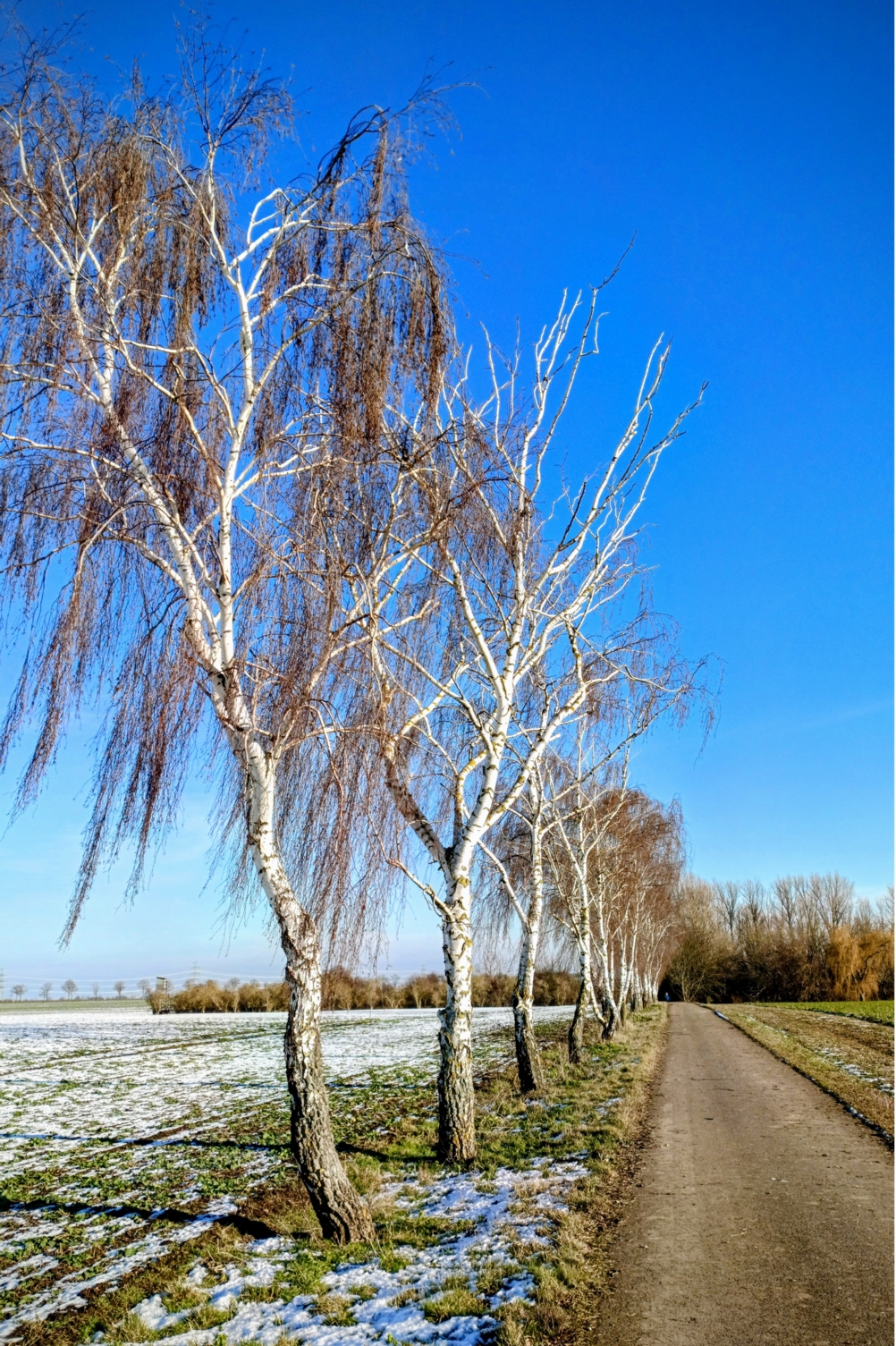 von Atzendorf zur Wüstung Luxdorf ©Margitta und Heinz-Peter Hadel von atzendorf zur w stung luxdorf