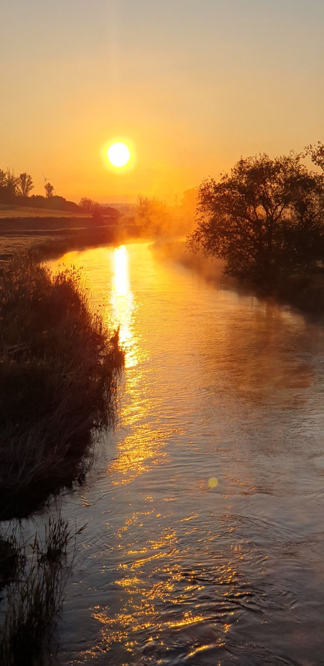 sonnenuntergang ©Nicole Reich