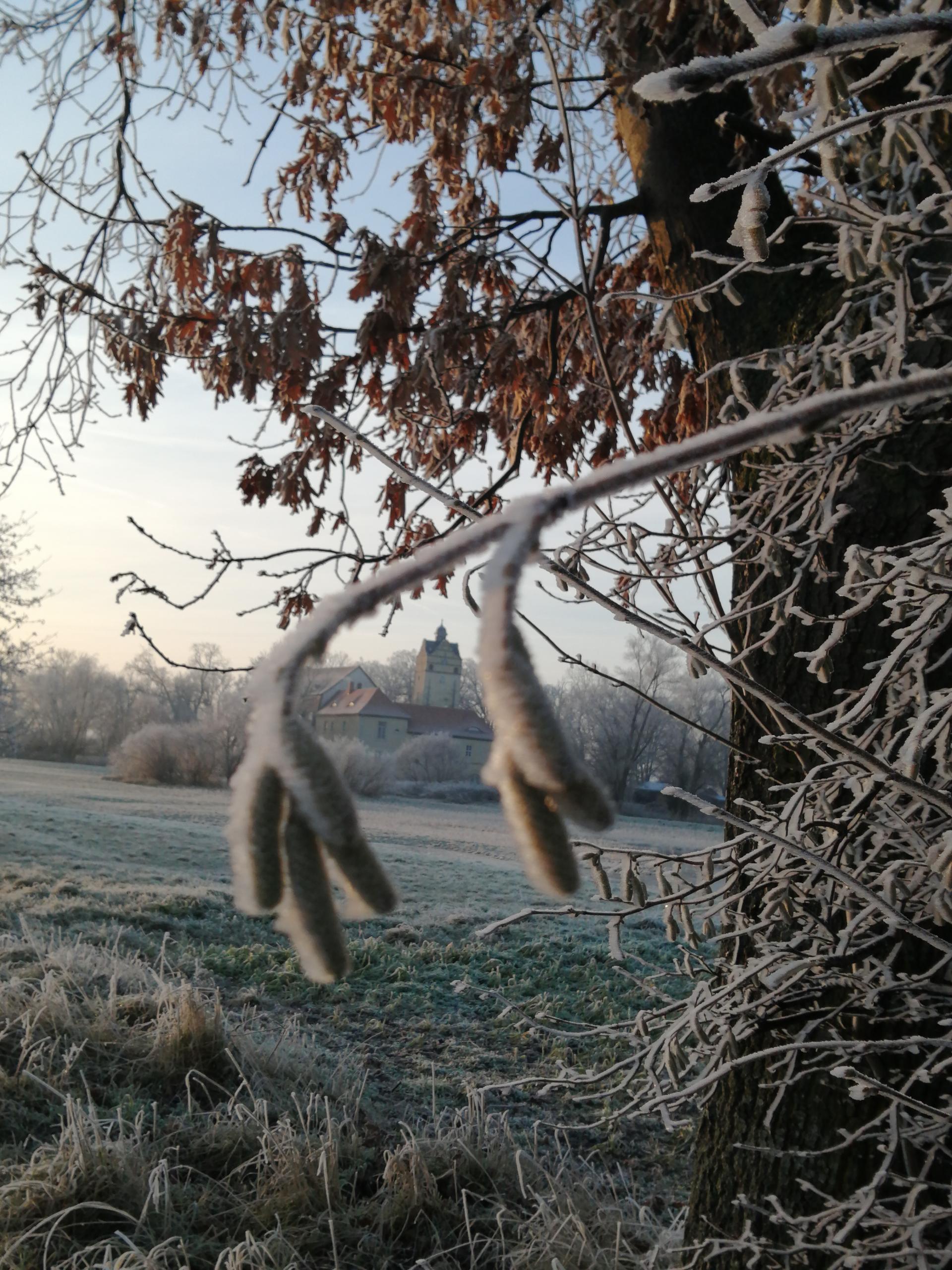schloss ©Annemarie Schuster schlo