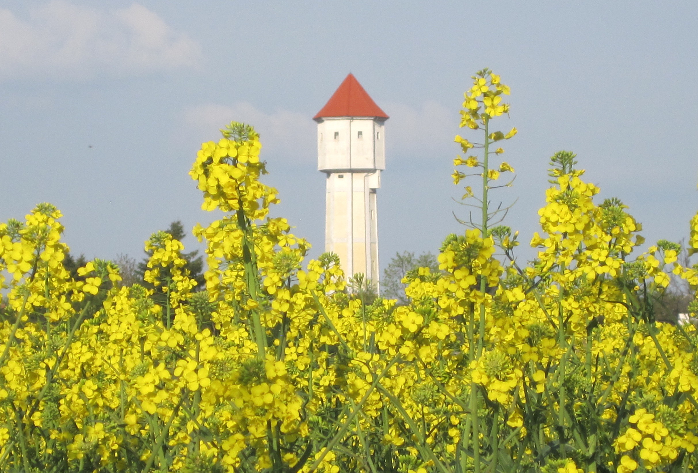 wasserturm loederburg ©Christian Heide