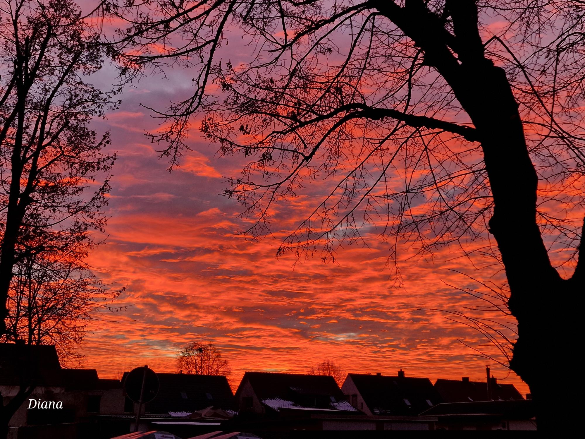 sonnenuntergang neundorf ©Diana Plathe