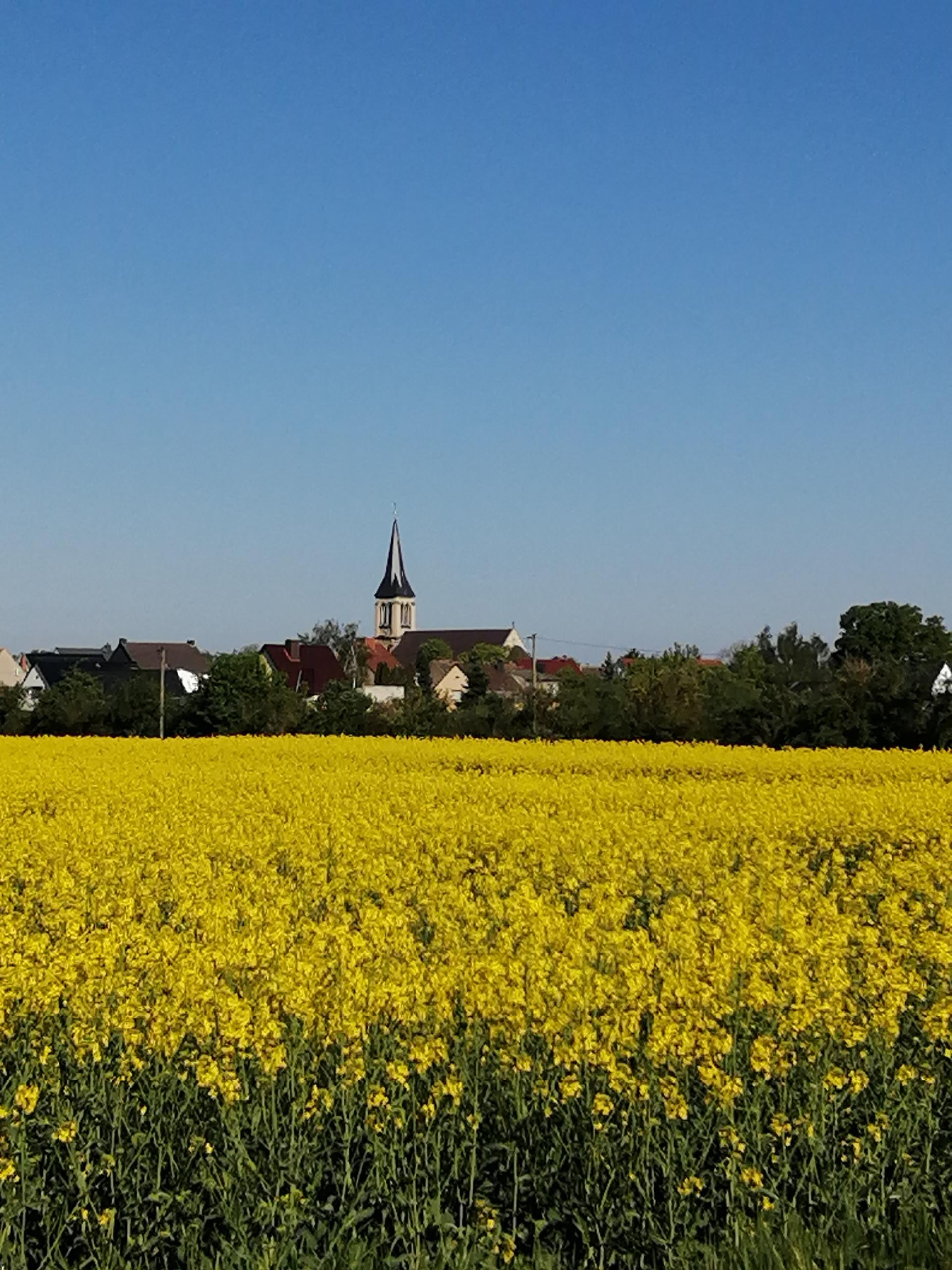 atzendorf ©Annemarie Schuster