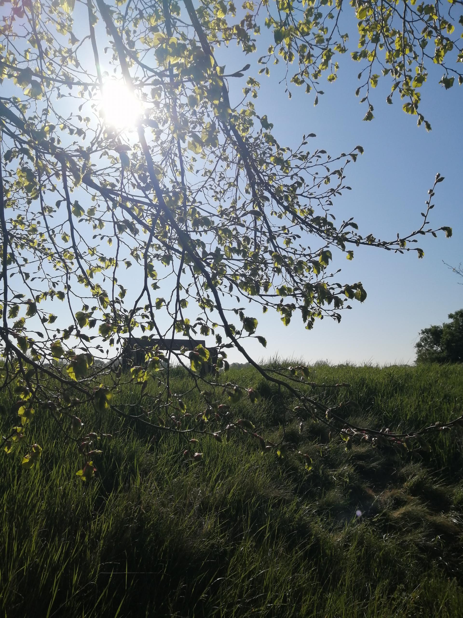 deich athensleben ©Annemarie Schuster