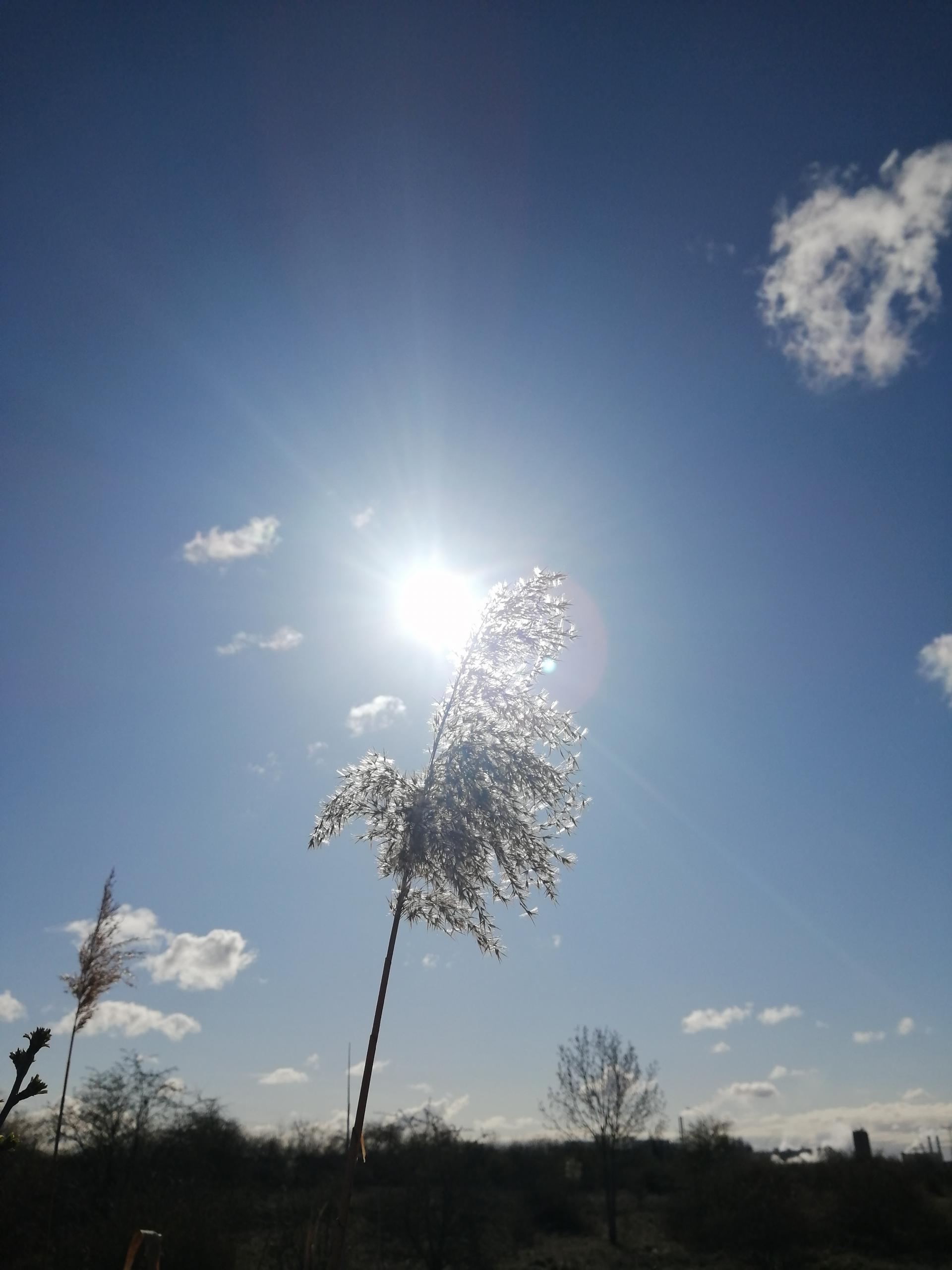 sonne ©Annemarie Schuster