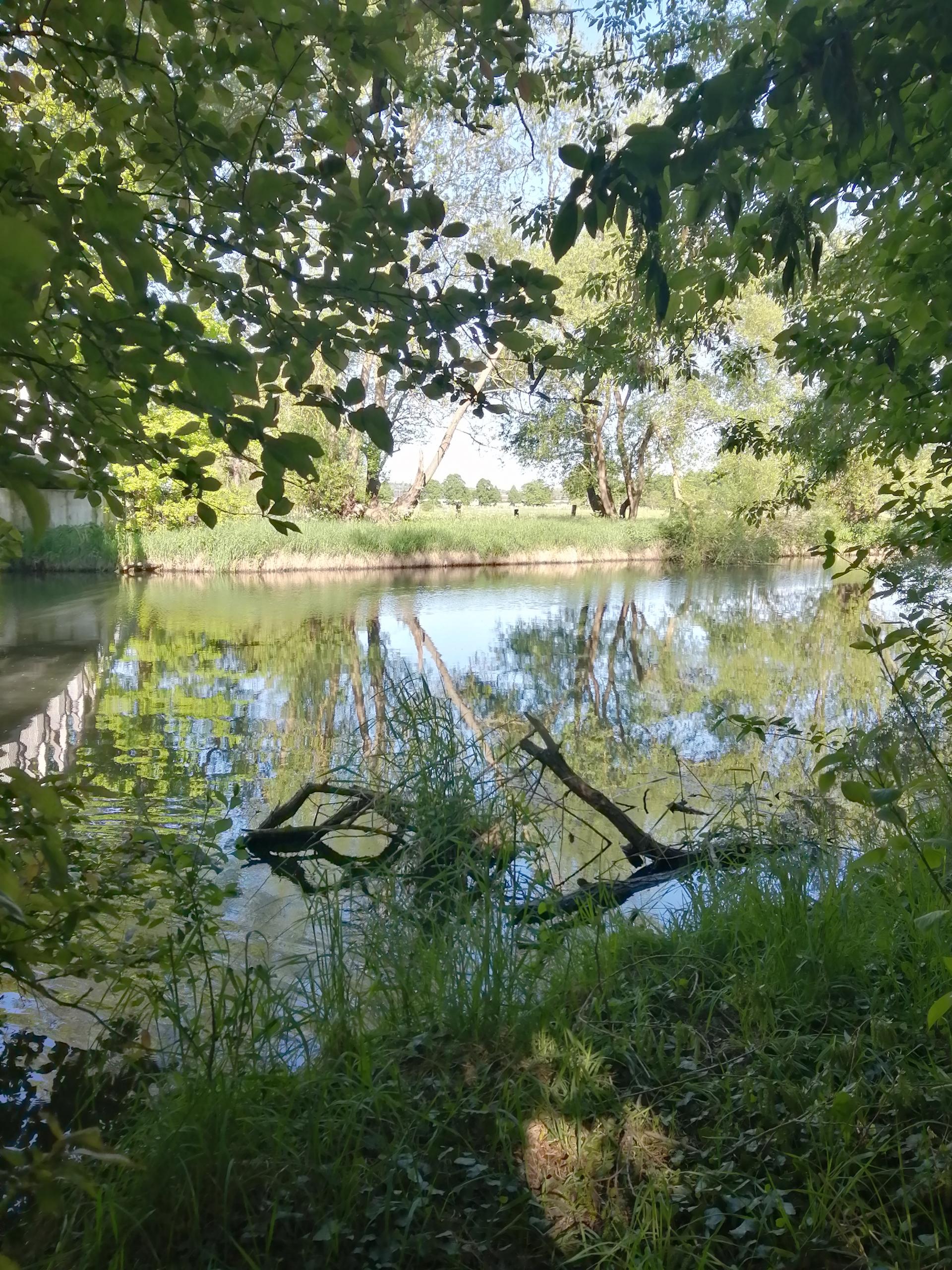 Ufer ©Annemarie Schuster ufer