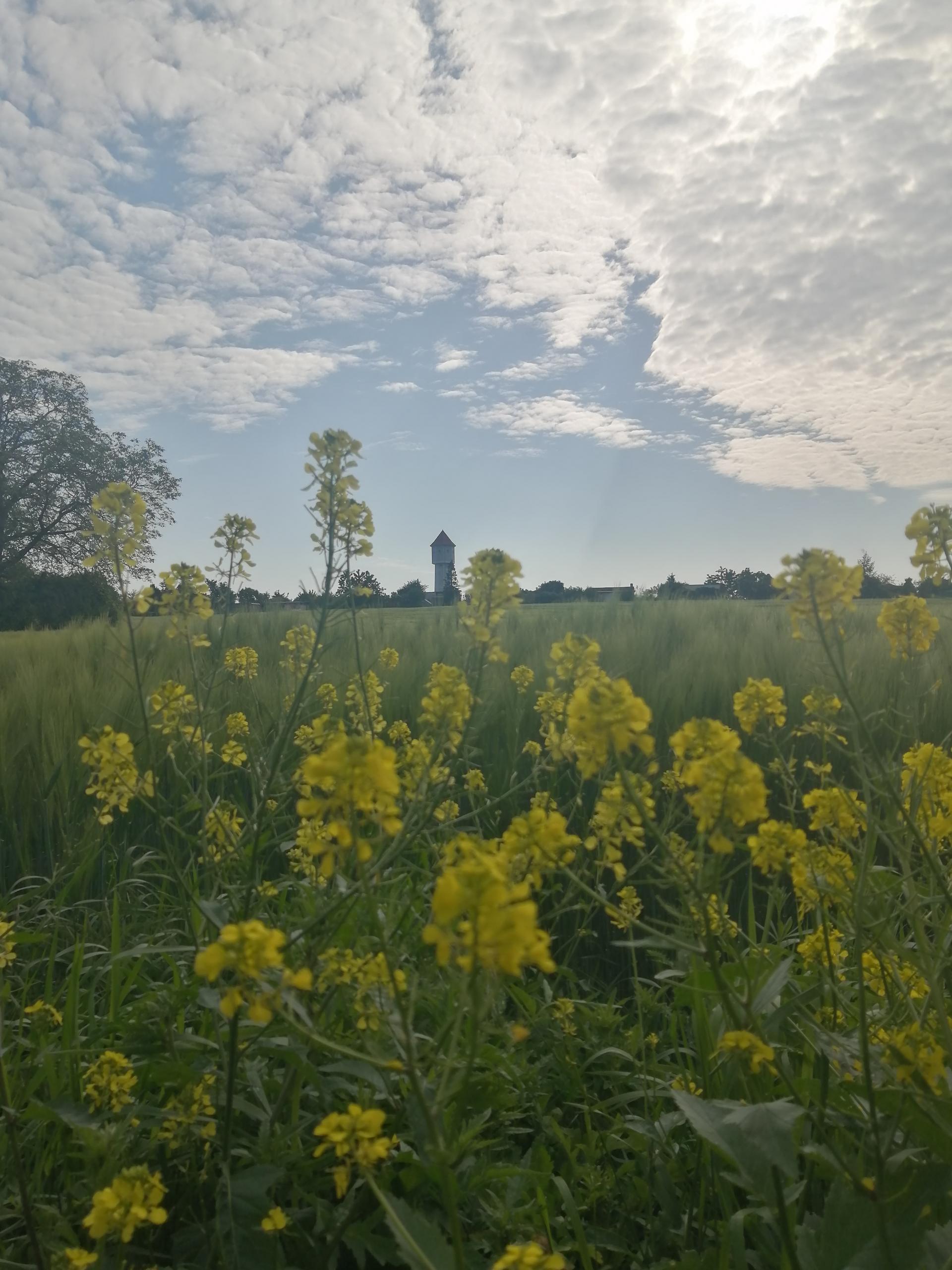 Wasserturm ©Annemarie Schuster wasserturm